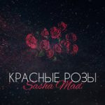 Sasha Mad — Красные розы
