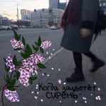 Глухой музыкант, слепой художник Алёна Швец — Глухой музыкант, слепой художник