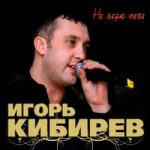 Игорь Кибирев — Новогодняя ночь