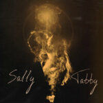 Sally & Tabby — Свет в тумане