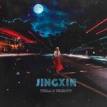 jingxin — Ушла в темноту