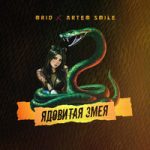 MriD & Artem Smile — Ядовитая змея