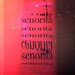Senorita Zorin Inc. & CHURSANOV — Senorita