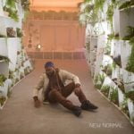 New Normal Khalid — New Normal