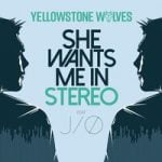 Yellowstone Wolves & J/O — She Wants Me in Stereo