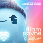 Liam Payne — Sunshine
