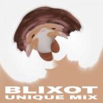 BLIXOT & jluvery — unique
