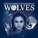 Selena Gomez & Marshmello — Wolves