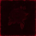 Изус — Красные розы