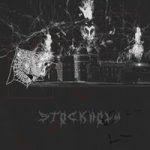 shadowraze & Shinra — stockholm
