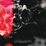 8SR — Black Roses
