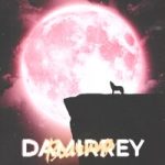 Damirrey & Chitto — Волчица