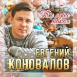 Евгений Коновалов — Ты одна такая