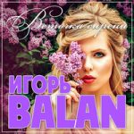 Игорь Balan — Веточка сирени